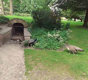 Schloss Jever in Jever