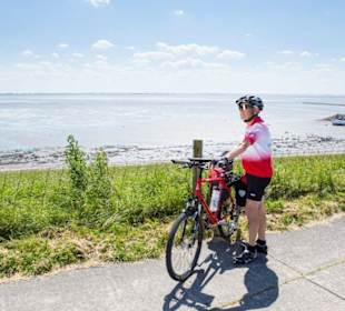 Radfahren auf der Nordsee-Halbinsel Butjadingen