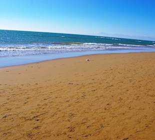 Aufgenommen am 29.11.2013