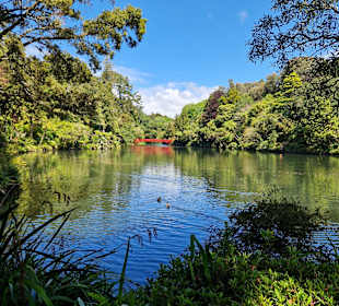 Pukekura Park