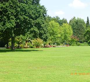 Gepflegter Rasen