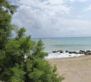 Arapis Coral Bay Restaurant und strand 