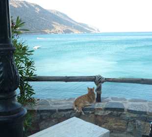 Impression aus Plaka