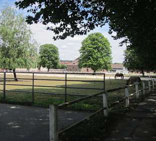 Landesgestüt Zweibrücken