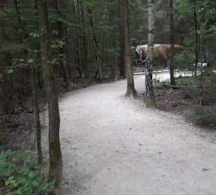 Dinosaurier Museum Altmühltal