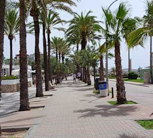 Strandpromenade Playa/Platja de Palma