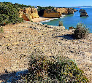 Seven Hanging Valleys Trail 