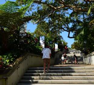 Taronga Zoo