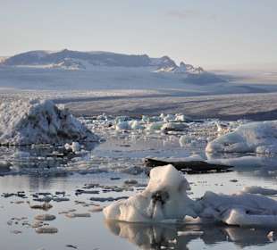 Jokulsarlon - laguna lodowcowa