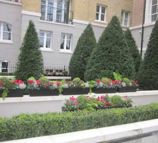 Impressionen aus Westminster