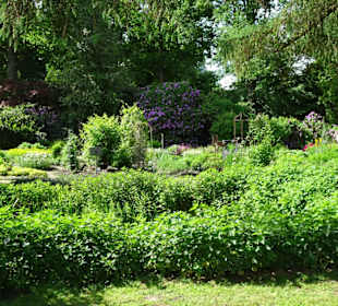 Spaziergang durch den Botanischen Garten Bremen