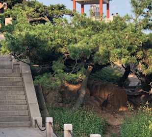 Stadtrundgang Qingdao