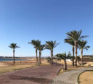 Strand Sahl Hasheesh