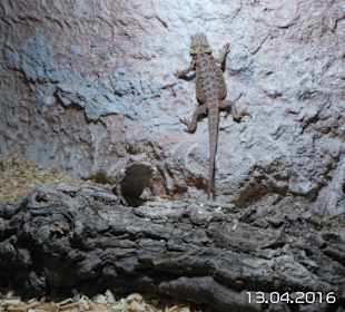 Discovery Park Manavgat