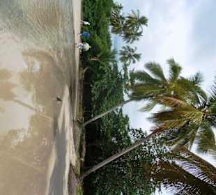 Mündung des Flusses