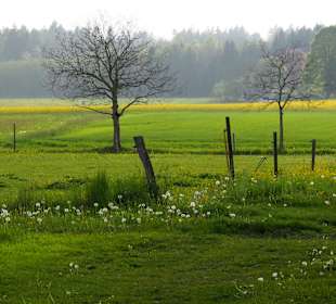 Wandern Seeon-Seebruck