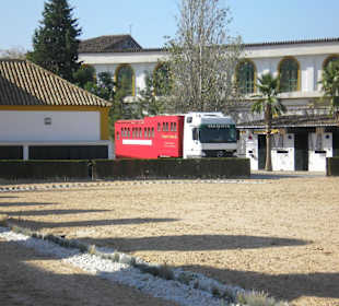 Królewska szkoła jazdy konnej