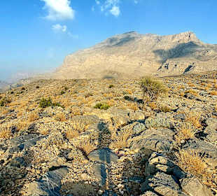 Ausflug Jebel Harim