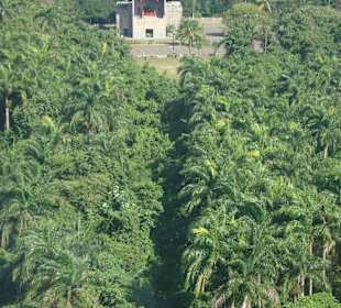 Blick von der Gondel nach unten