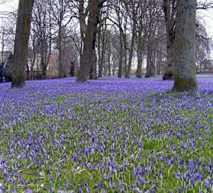 Im Schloßgarten von Husum.