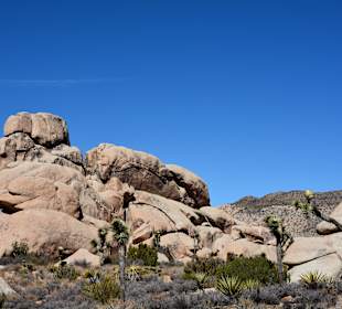 Joshua Tree National Park