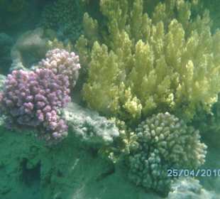 Einfach wunderschön