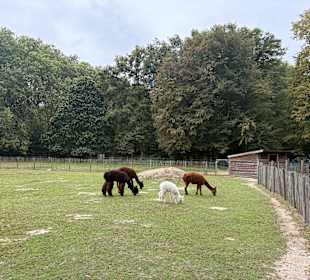 Steinerbos Belevenispark