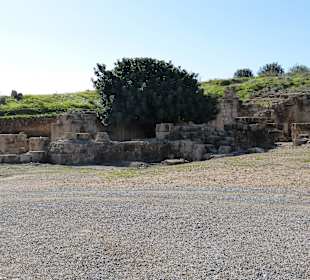 Ausgrabung in Pafos 
