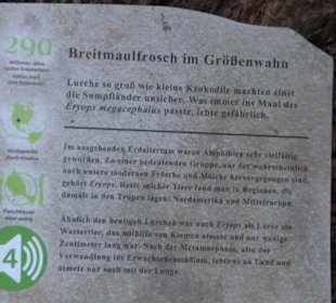 Dinosaurier Museum Altmühltal