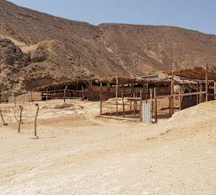 Oase El Gouna & Straussenfarm