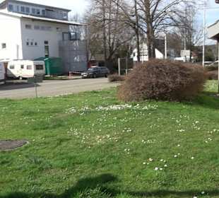 Kirche Christus König des Friedens Kirchentellinsf