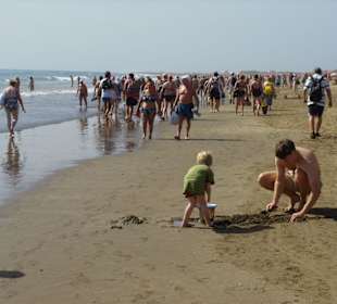 Völkerwanderung am Strand