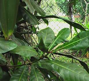 Vor dem Bungalow Resort