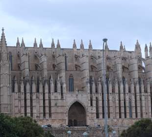 Bei einer organisierten Busrundfahrt auf Mallorca