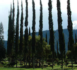 Blick in den Park am See