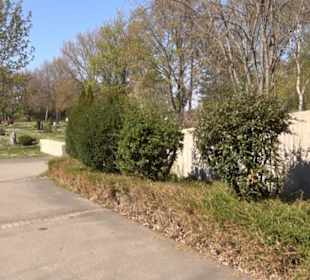 Neuer Friedhof