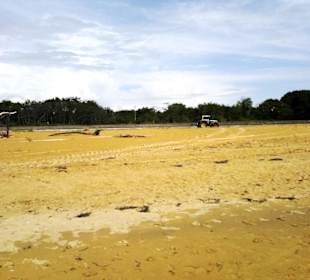 Strand Bibione 06_2011