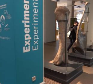 Museum für Naturkunde