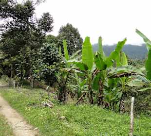 Ausflug Wildfife Expeditions