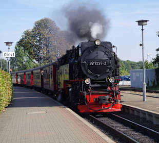 HSB Einfahrt Wernigerode-Westerntor