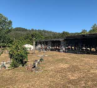 Mosteiro de Santa María de Monfero