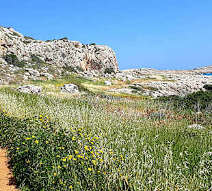 Nationalpark Kap Greco