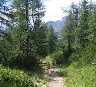 Zwischen Sulzenhals und Walehenhütte