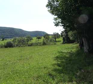 Premiumspazierweg Früchtetrauf-Leisawegle