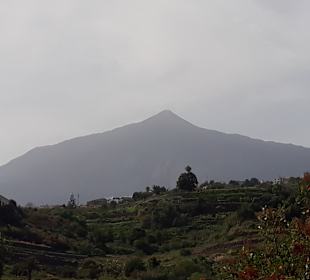 Inselrundfahrt AIDA Tagestour