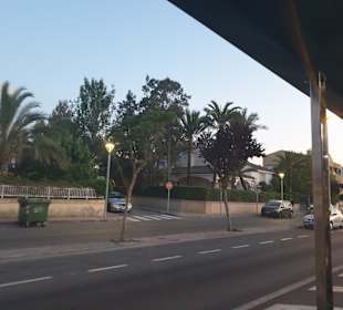 Stadtrundfahrt Alcudia