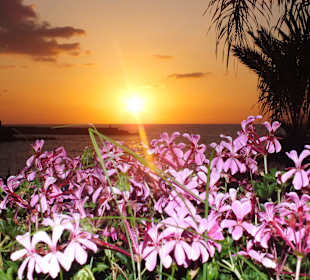 Schöner Sonnenuntergang