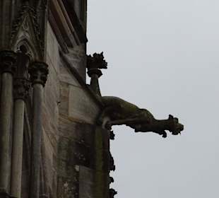 Heilig Kreuz Münster
