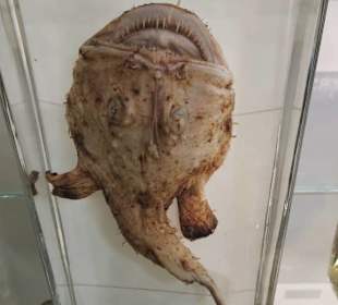 Im Schaumagazin des Übersee-Museums