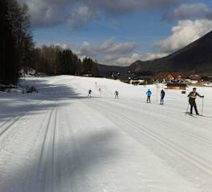 Schöne Loipenlandschaft